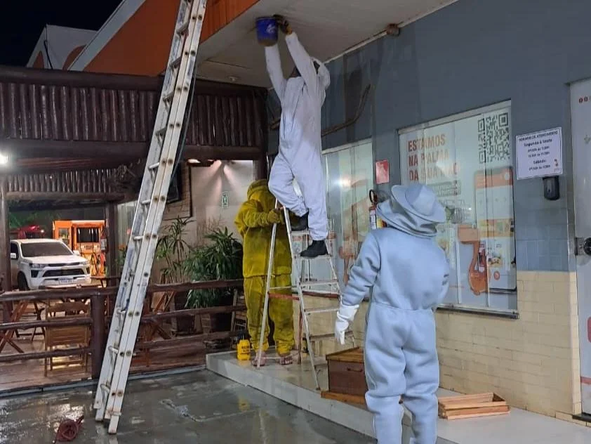 Bombeiros militares fazem retirada de enxame de abelhas em posto de combustível