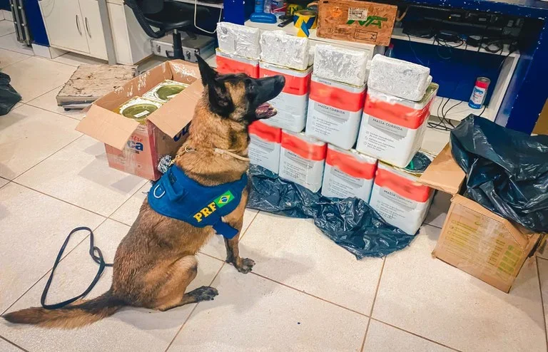 PRF apreende 59 kg de skunk em ônibus e ação conjunta resulta em prisões em Rondonópolis