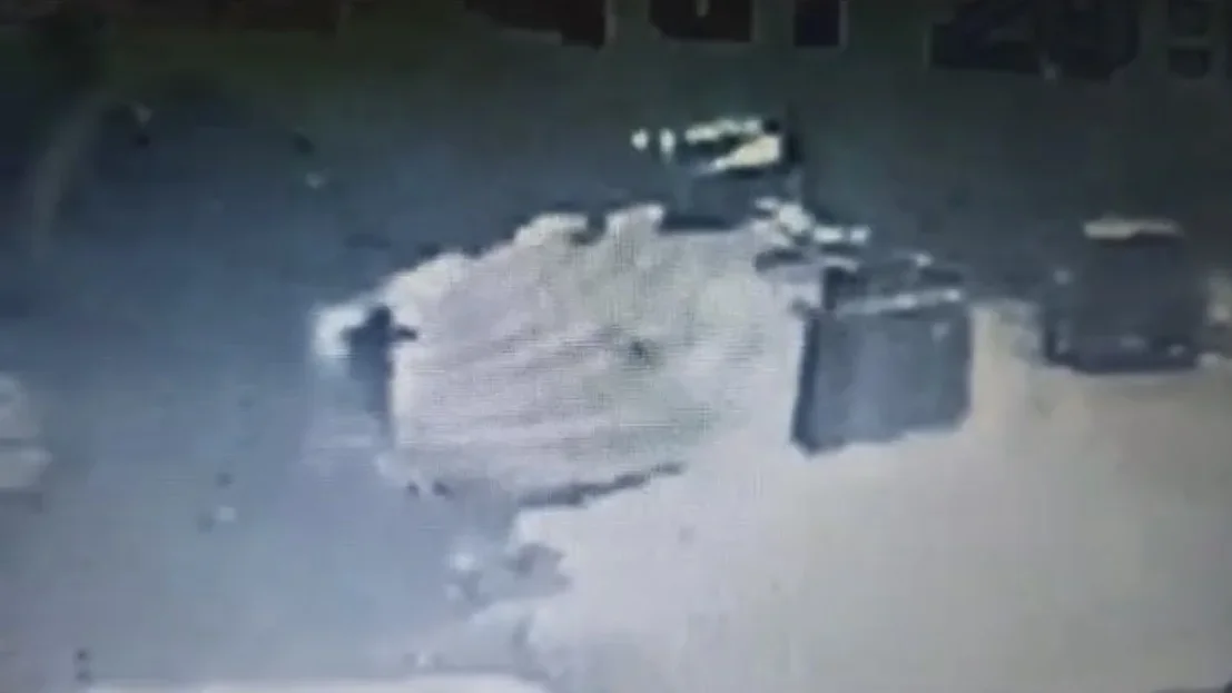 Policial baleia cadela no olho em Rondonópolis; tutor aparece com o animal no colo em vídeo