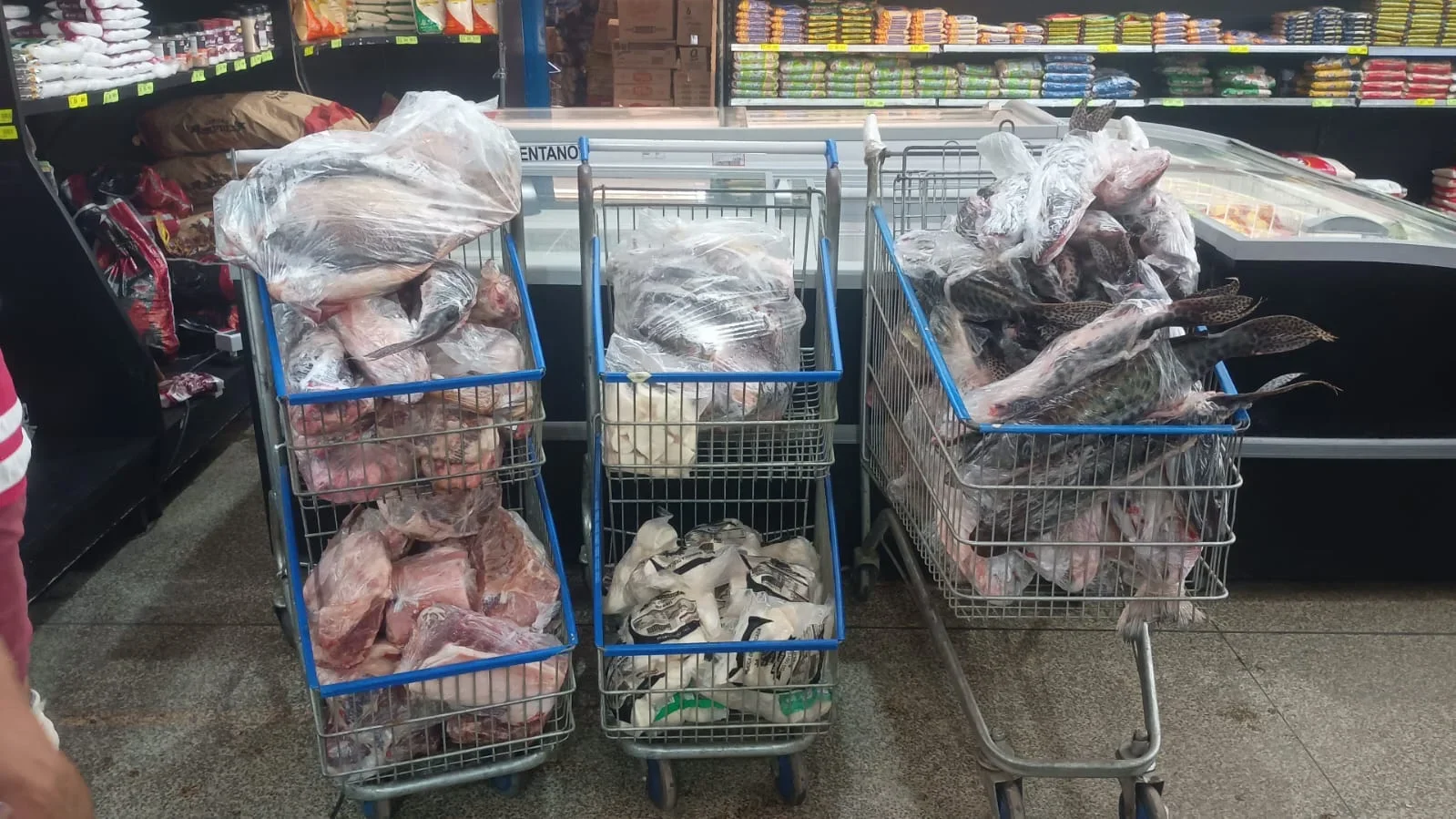 CDATA[A Prefeitura Municipal de Rondonópolis (a 212 km de Cuiabá), por meio de nota, esclareceu que não há qualquer atuação ou mobilização para a retirada do...
![Procon apreende 170 quilos de carne imprópria para consumo