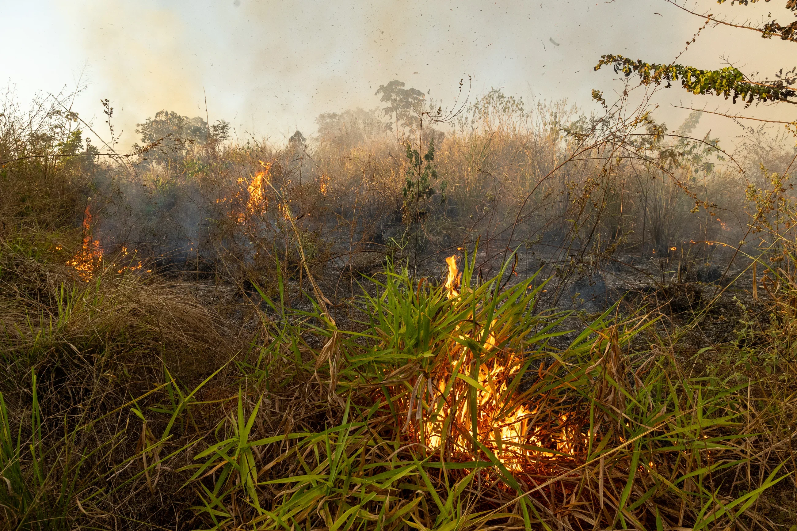 Período da seca traz de volta a ameaça das queimadas no município